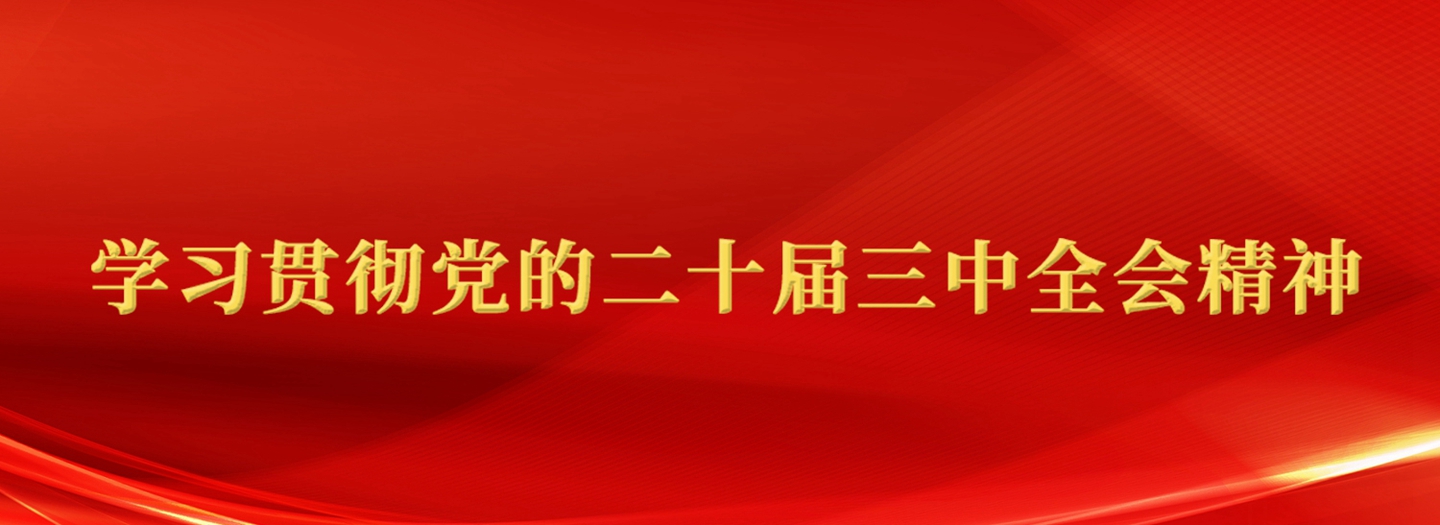 學習貫徹黨的二十屆三中全會精神